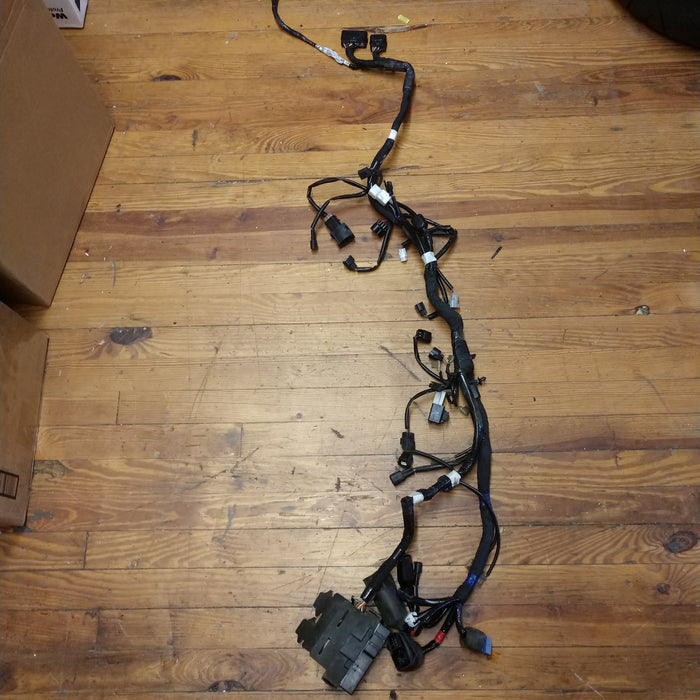 2018-2020 Suzuki Gsx250R Main Wiring Harness