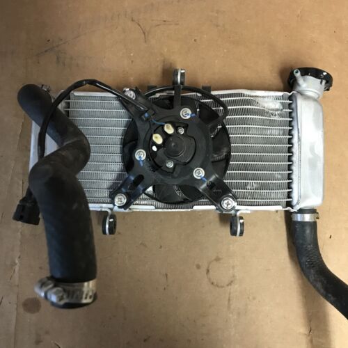 2015-2022 (2021) Honda CBR300R Radiator Cooling Fan OEM