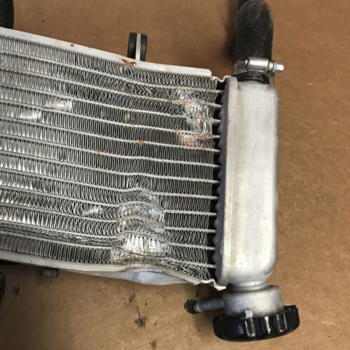 2015-2022 (2021) Honda CBR300R Radiator Cooling Fan OEM