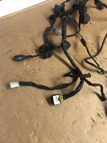 1999-2007 Suzuki GSX-1300R Hayabusa Wiring Harness *no cuts* OEM